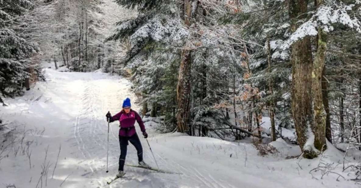 From Gardiner: Guided Yellowstone Cross-Country Skiing Tour - Key Points