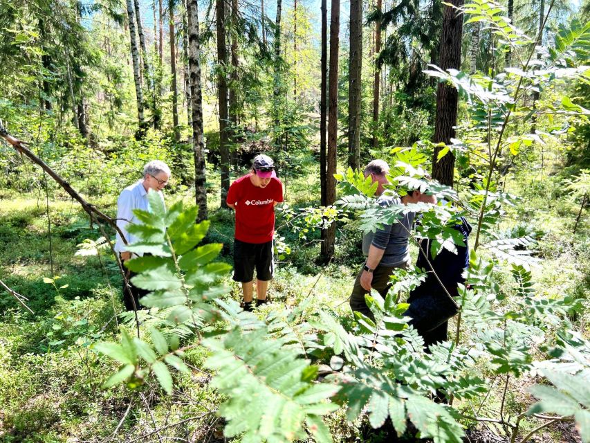 From Helsinki: Hike and Sauna in Sipoonkorpi National Park - Key Points