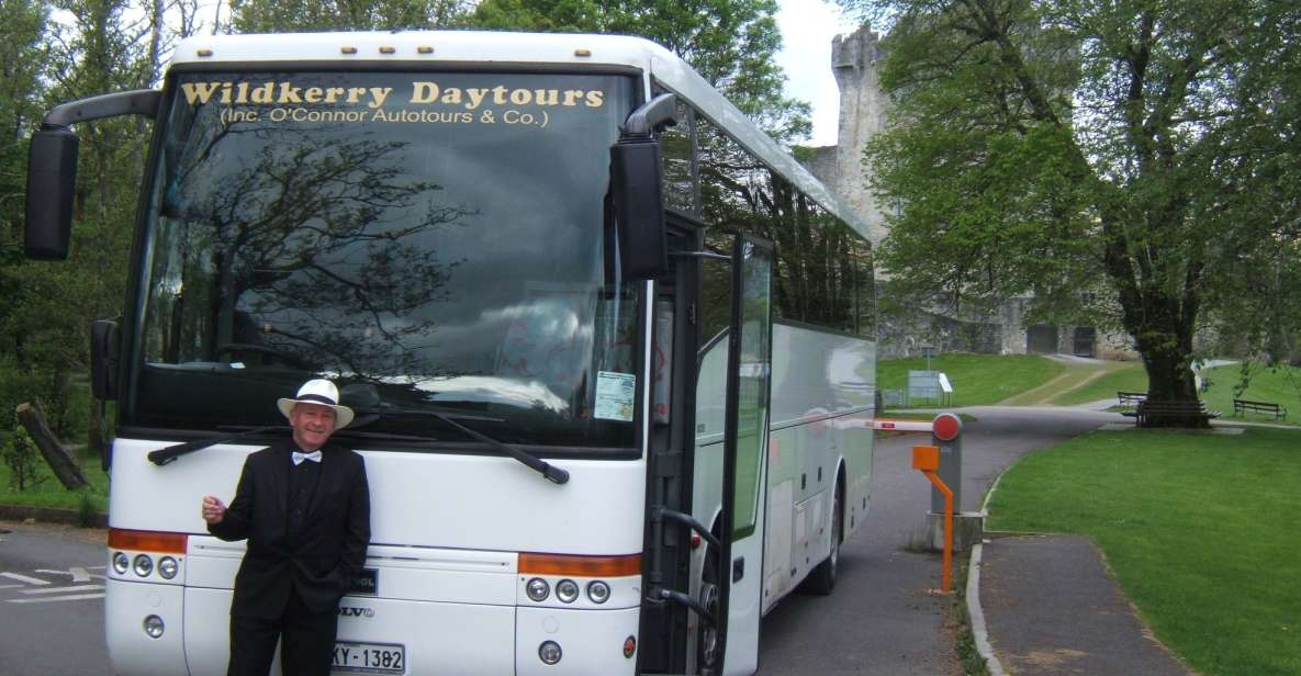 From Killarney: Ring of Kerry Mountain Road 1-Day Bus Tour - Key Points