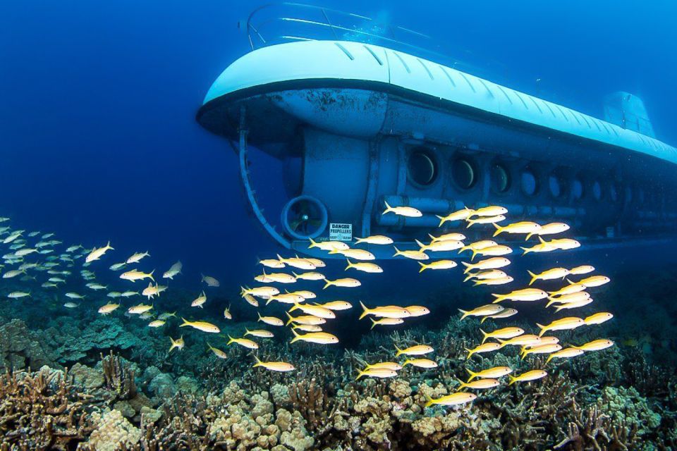 From Kona: Big Island Underwater Submarine Adventure - Key Points