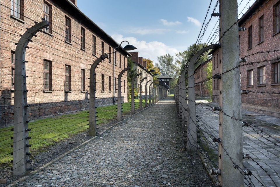 From Krakow: Auschwitz-Birkenau Tour - Key Points