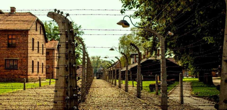 From Krakow: Guided Auschwitz-Birkenau Group Tour by Minivan - Key Points