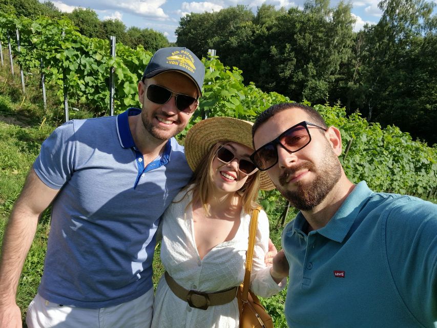 From Krakow: Wine Tasting at Vineyard - Key Points