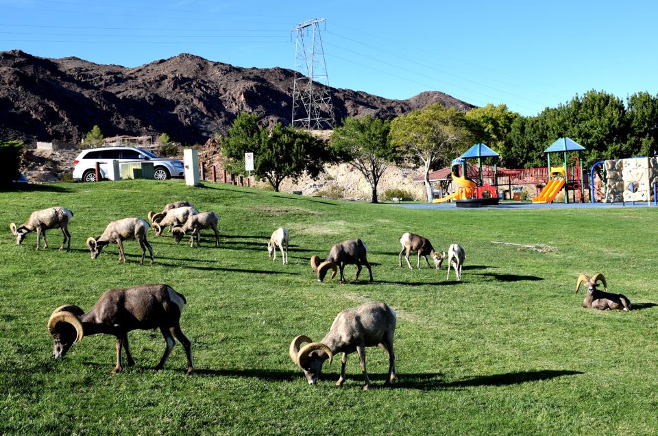 From Las Vegas: VIP Small-Group Hoover Dam Excursion - Key Points