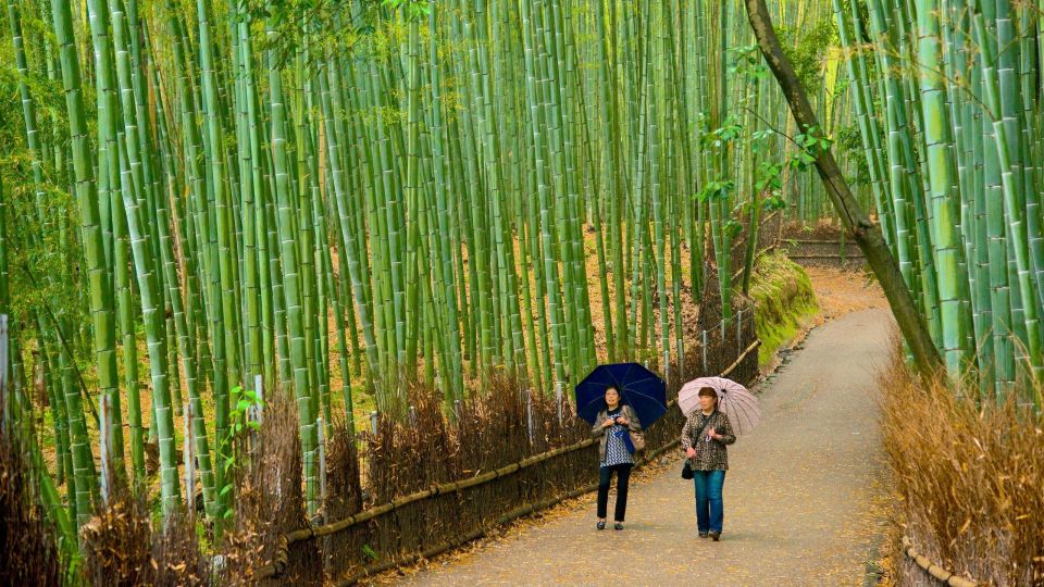 From Osaka: Fushimi Inari Shrine, Kyoto, and Nara Day Trip - Key Points