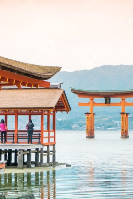 From Osaka/Kyoto: Hiroshima and Miyajima Private Tour - Accessibility and Group Size