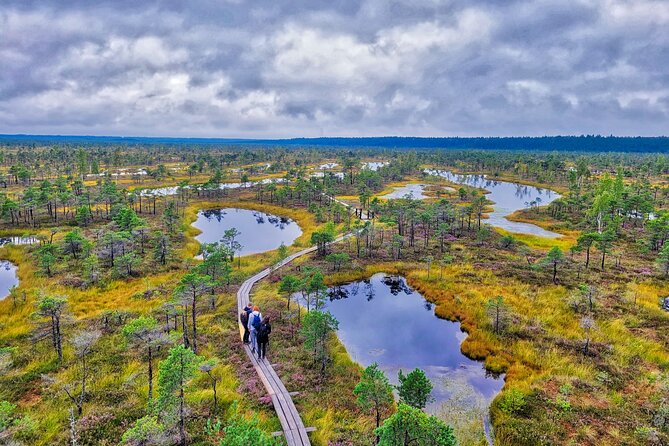 From Riga: Best of Kemeri National Park In One Day - Key Points