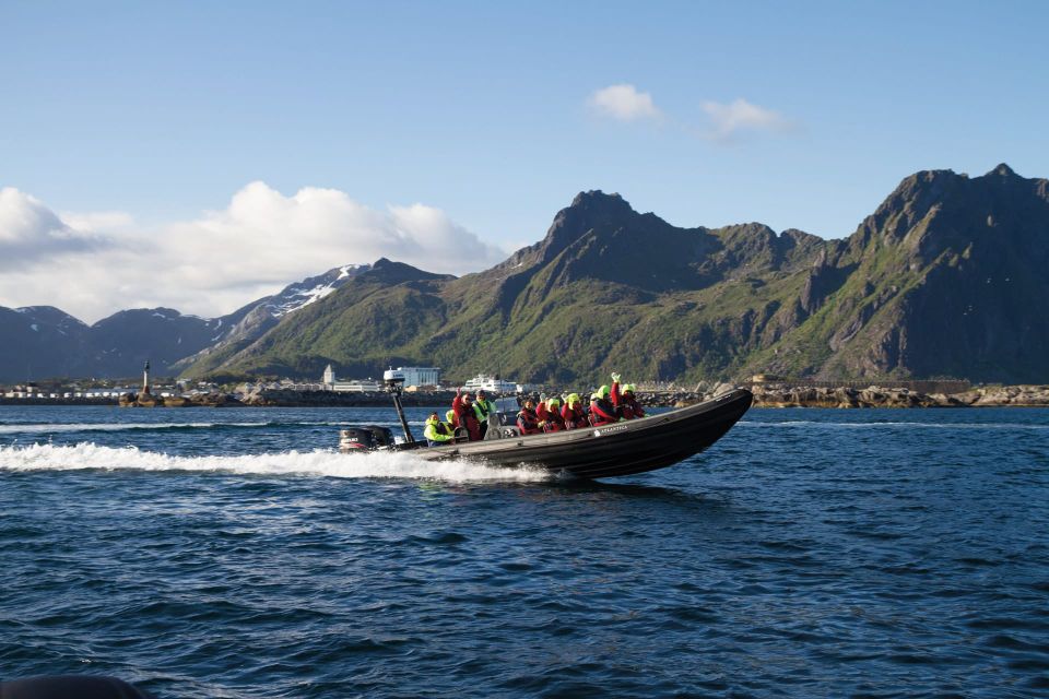 From Svolvær: RIB Sea Eagle Safari Trollfjord Cruise - Key Points