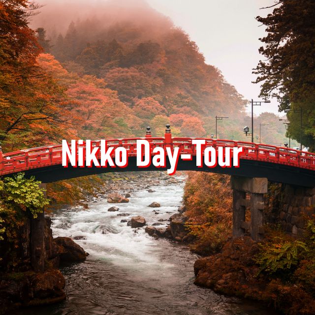 From Tokyo: 10-hour Private Custom Tour to Nikko - Key Points