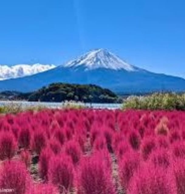 From Tokyo: Mount Fuji Day Trip - Key Points