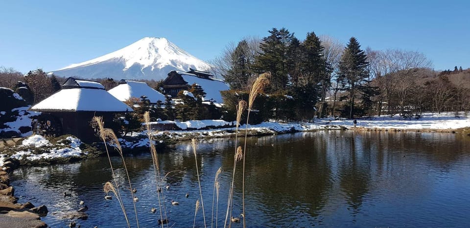 From Tokyo: Mt Fuji and Lake Kawaguchiko Private Day Trip - Key Points