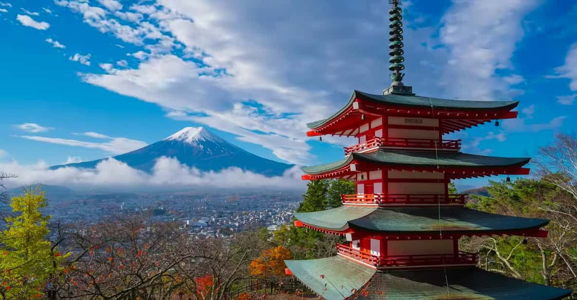 From Tokyo: Mt. Fuji or Hakone Sightseeing Private Day Tour - Tour Overview and Pricing