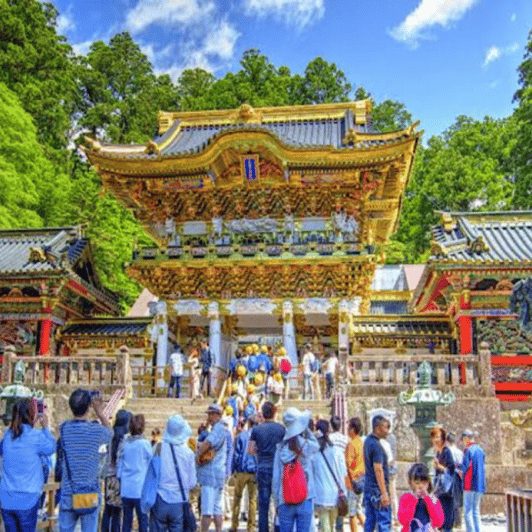 From Tokyo: Nikko Sightseeing Private Day Tour English Guide - Key Points