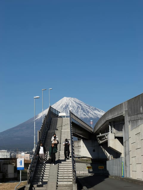 From Tokyo: Private Day Trip to Mount Fuji and Surroundings - Key Points