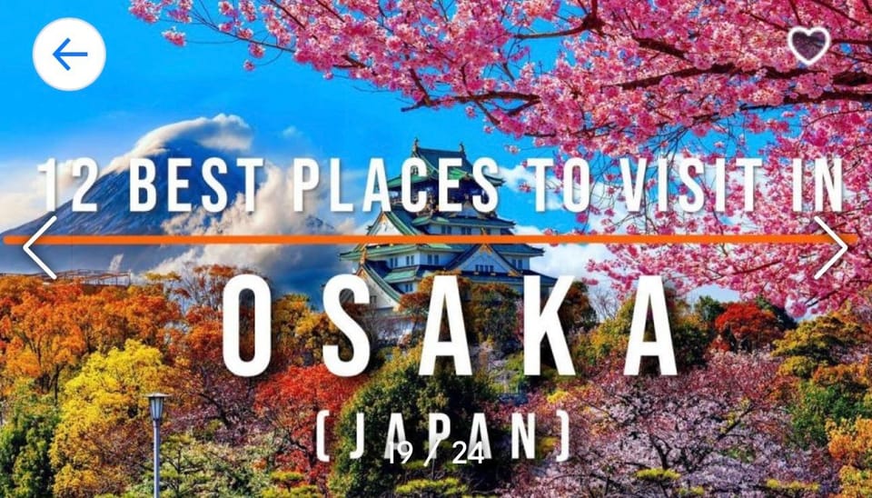 From Tokyo-Private Osaka Kyoto Nara Tour With English Guide - Key Points