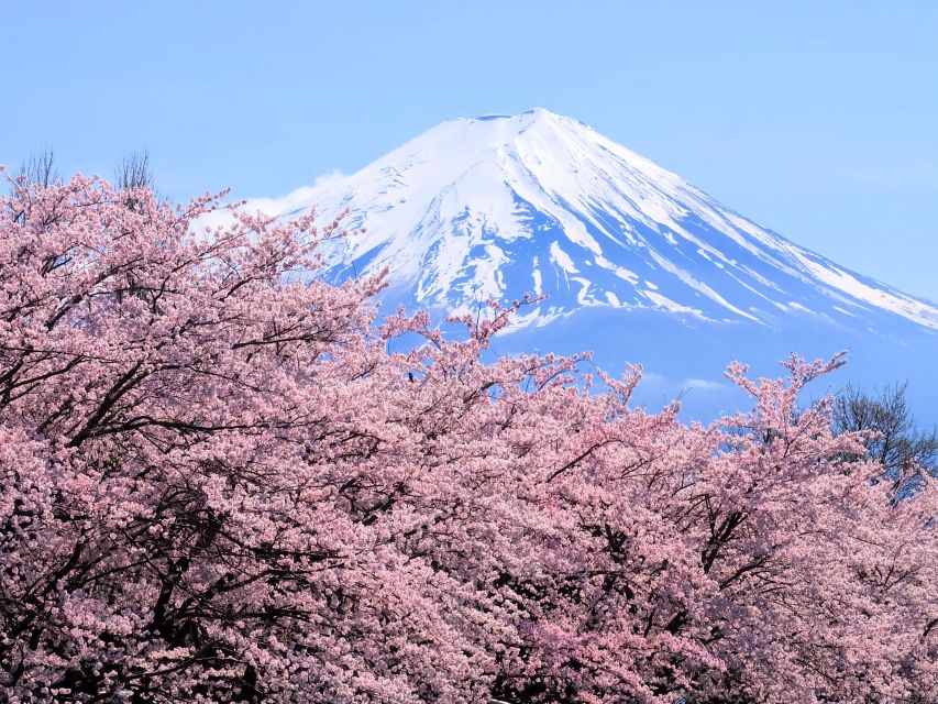 From Tokyo to Mount Fuji: Full-Day Tour and Hakone Cruise - Key Points