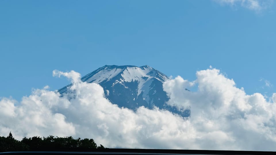 From Tokyo/ Yokohama: Private Day Trip To Mt. Fuji/Hakone - Key Points