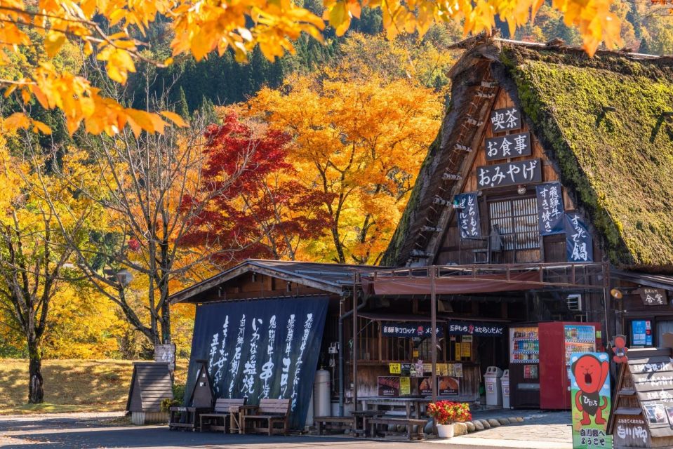 From Toyama: Private Day Tour to Shirakawago & Takayama - Key Points