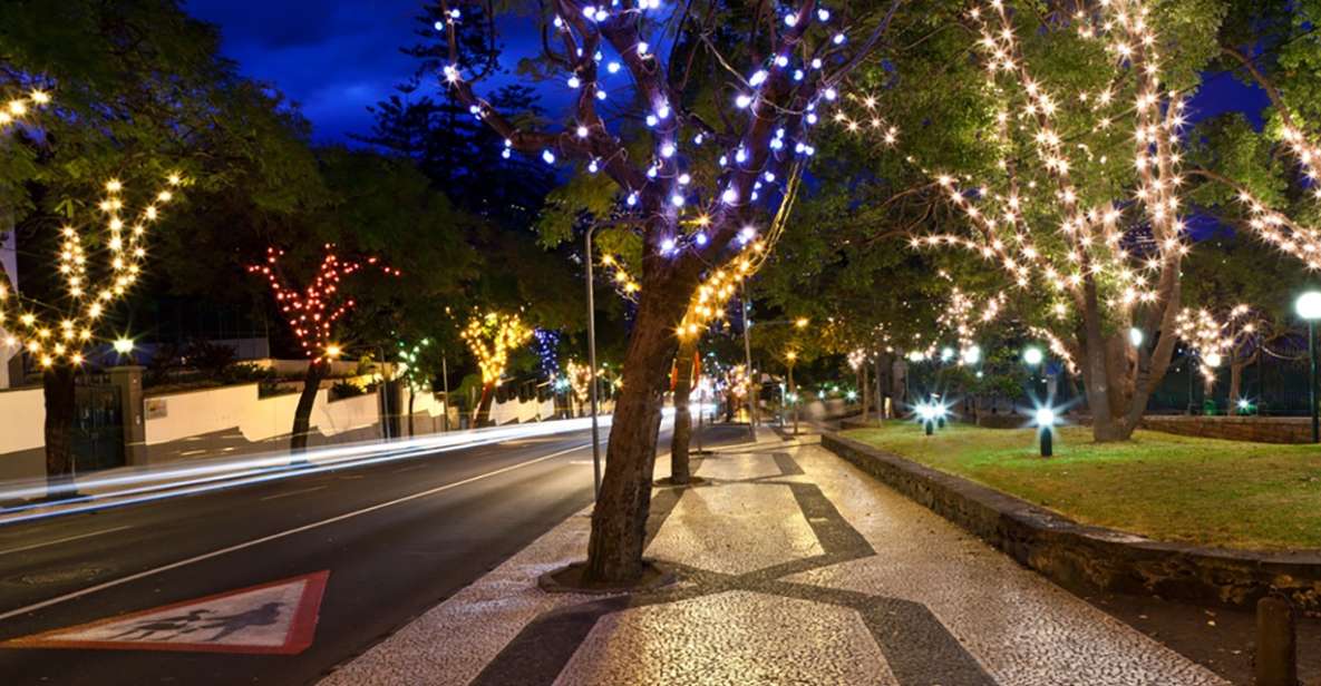 Funchal: Christmas Lights Guided Tuk-Tuk Tour - Key Points