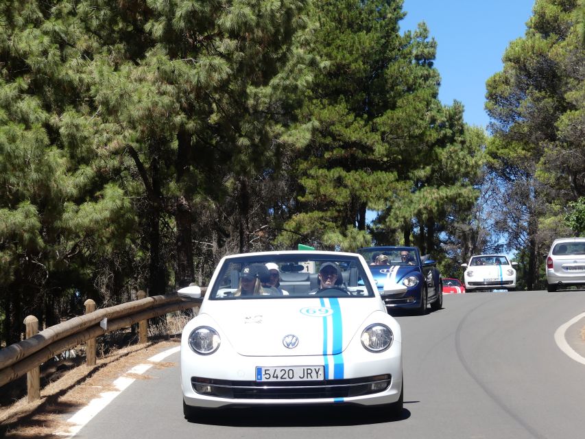 Gran Canaria: Convertible Beetle Tour - Key Points