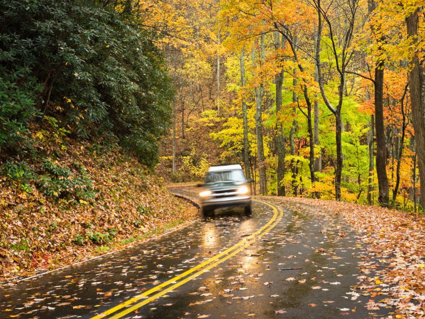 Great Smoky Mountains: Self-Guided Audio Driving Tour - Key Points