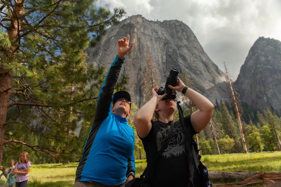 Guided Small Group High Country / Mariposa Tour - Tour Details