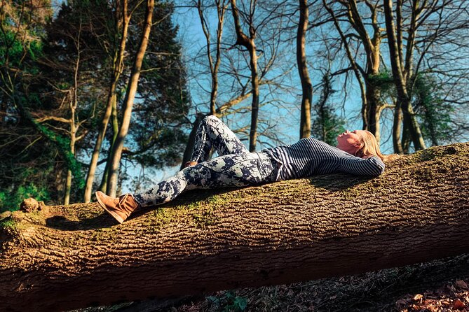 Half-day Forest Bathing and Yoga in Brightons Woodlands - Key Points