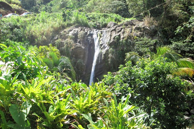 Half Day Grenada Sunshine Highlights Tour - Key Points