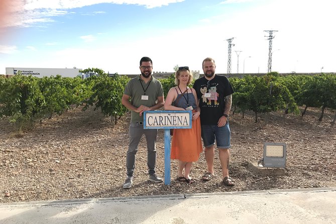 Half-Day Winery Tour From Zaragoza - Tour Overview