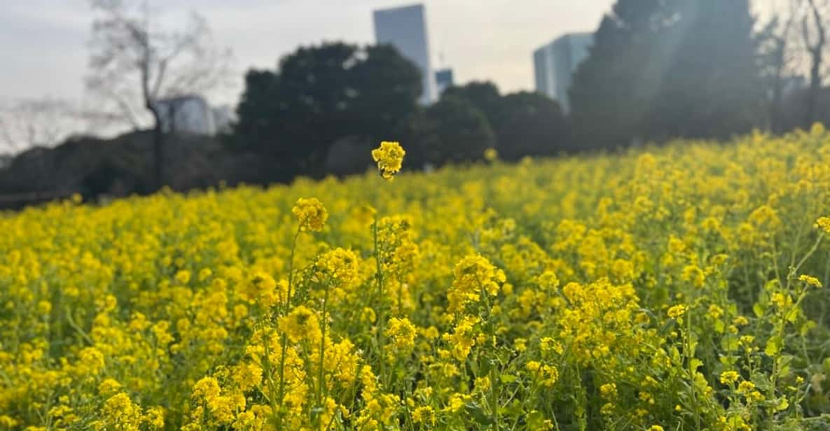 Hama Rikyu Gardens and Surroundings Guided Waking Tour - Key Points