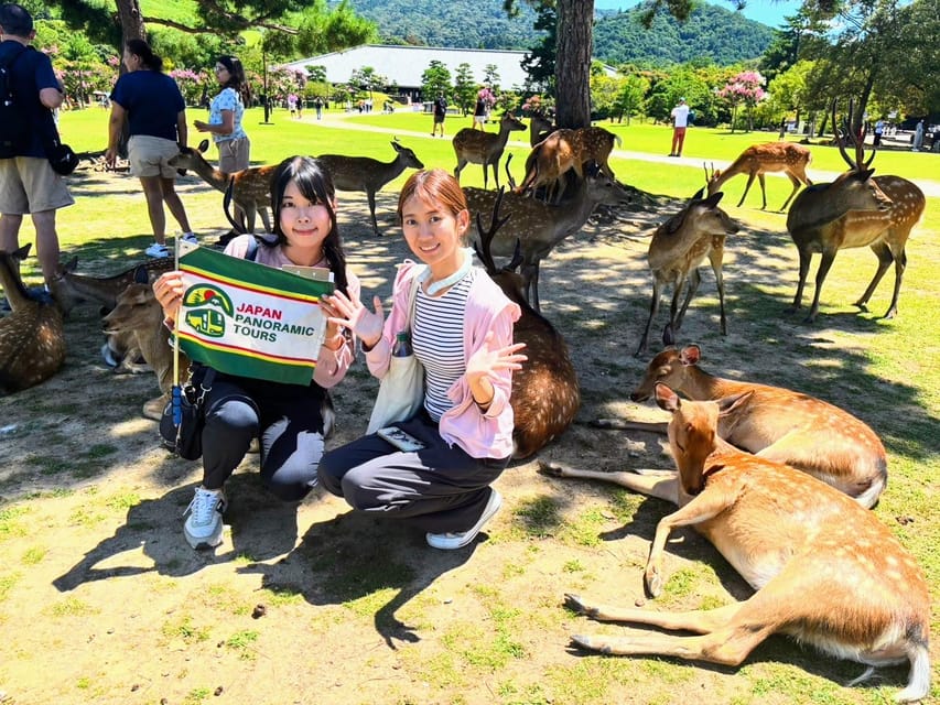 Historical Nara & Kyoto Bus Tour Review - Key Points