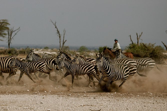 Horse Safaris in Tanzania - Key Points