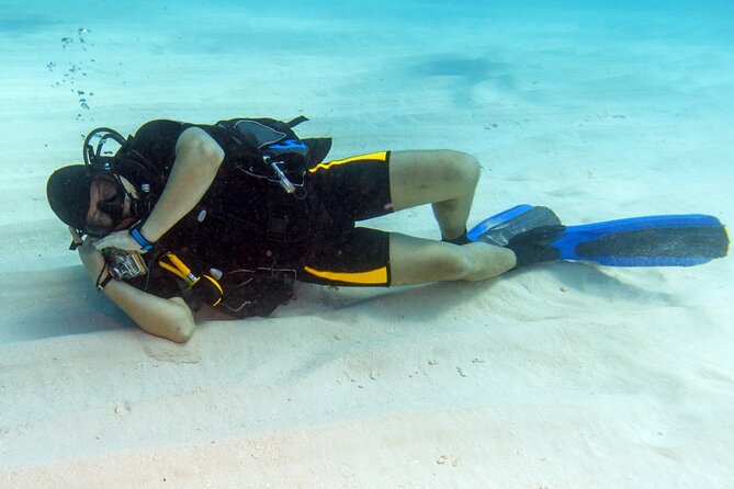 Intro Diving for Beginners 2 Stops Diving With Lunch in Hurghada - Tour Highlights