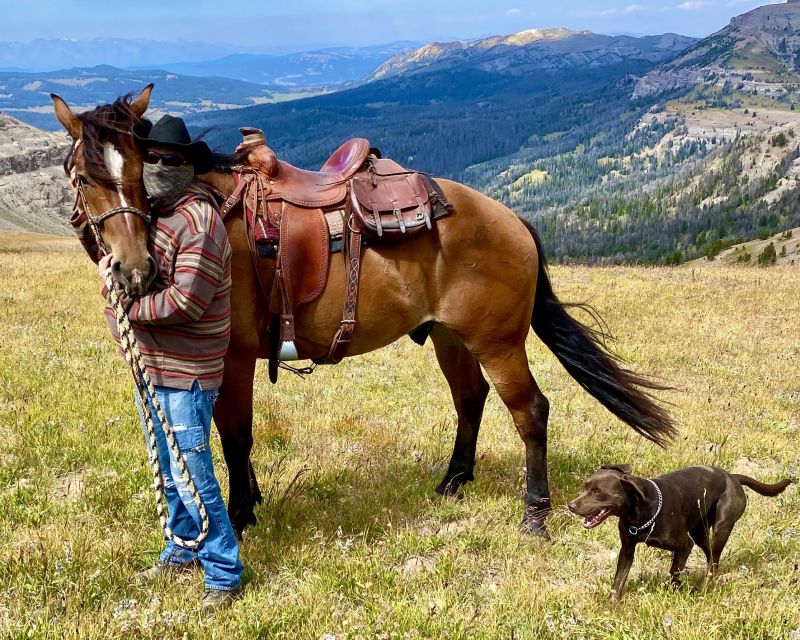 Jackson Hole: Dinner Cookout & Bridger-Teton Horseback Ride - Key Points