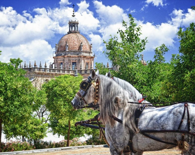 Jerez: Historic Center Guided Tour - Key Points