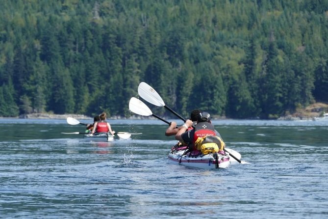 Kayaking With Whales and Wildlife - Kayaking Adventure