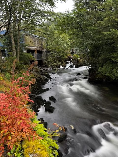 Ketchikan Photo Safari - Key Points