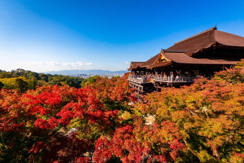 Kiyomizu Temple and Backstreet of Gion Half Day Group Tour - Key Points