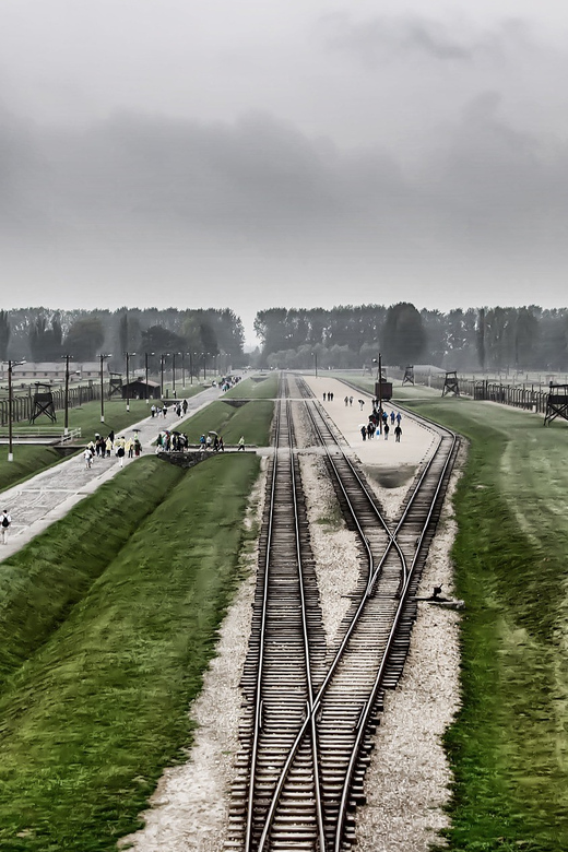 Kraków: Auschwitz-Birkenau and Wieliczka Salt Mine Day Trip - Key Points