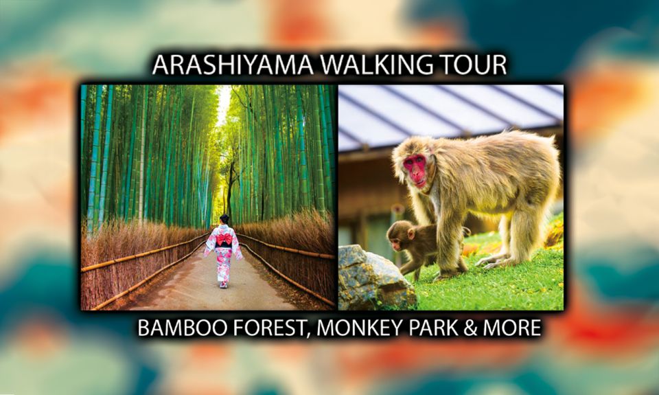 Kyoto: Arashiyama Bamboo Forest, Monkey Park, & Zen Temple - Key Points