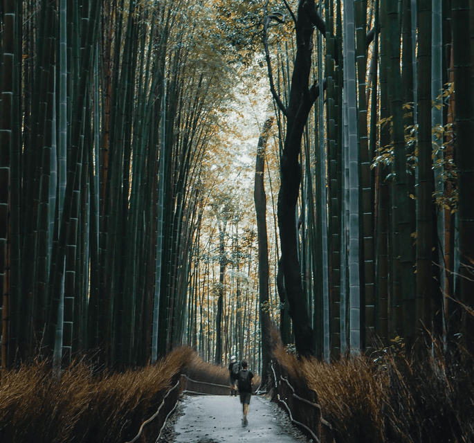 Kyoto Classic Day Trip: Peaceful Temples & Shrines & Gion - Transportation and Accessibility