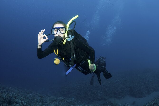 Lets Go Diving With Pickup From Hotel - Key Points