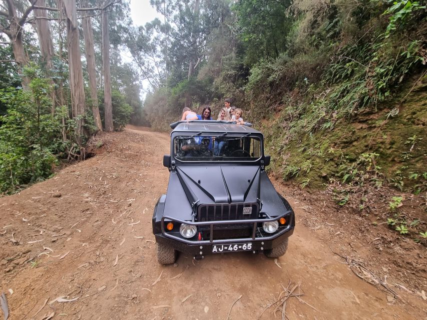 Madeira: SkyWalk, Fanal, Natural Pools 4x4 Jeep Tour - Key Points