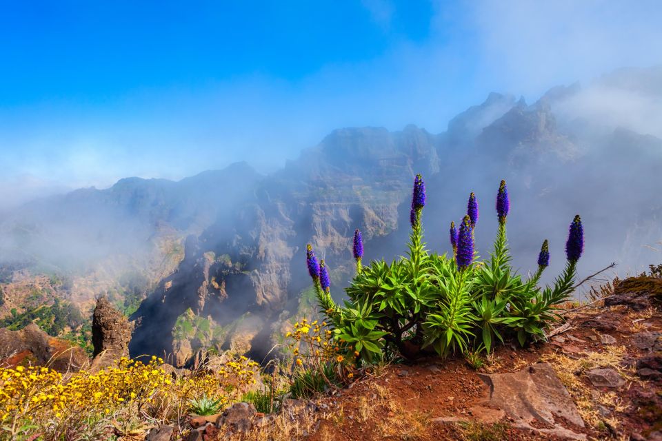 Madeira: Stairway To Heaven Pico Areeiro to Pico Ruivo Hike - Key Points