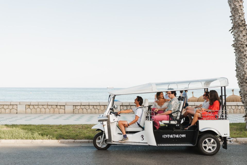 Malaga: Private City Tour by Eco Tuk Tuk - Key Points