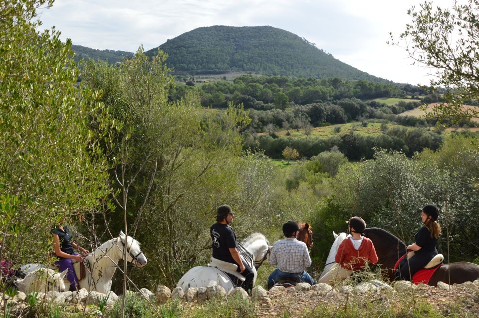 Mallorca: Activity, Antique Mallorca With Picnic - Key Points