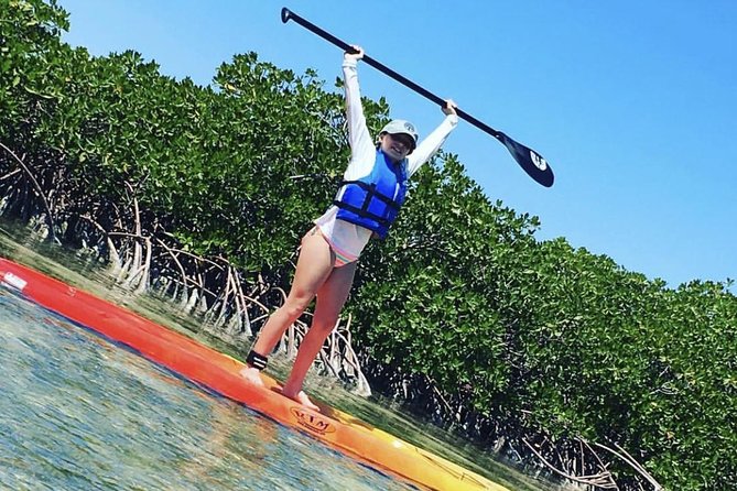 Mangroves Stand-Up Paddleboard Tour - Key Points