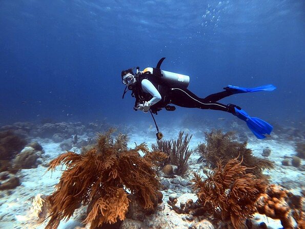 Marine Park - Private Boat Charter With Local Captain/ Guide - Key Points