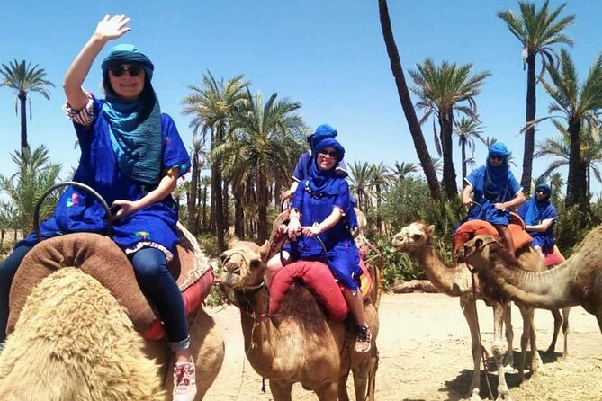 Marrakech Camel Ride in Palmeraie - Key Points