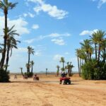 Marrakech Desert And Palm Grove Quad Bike Tour Key Points